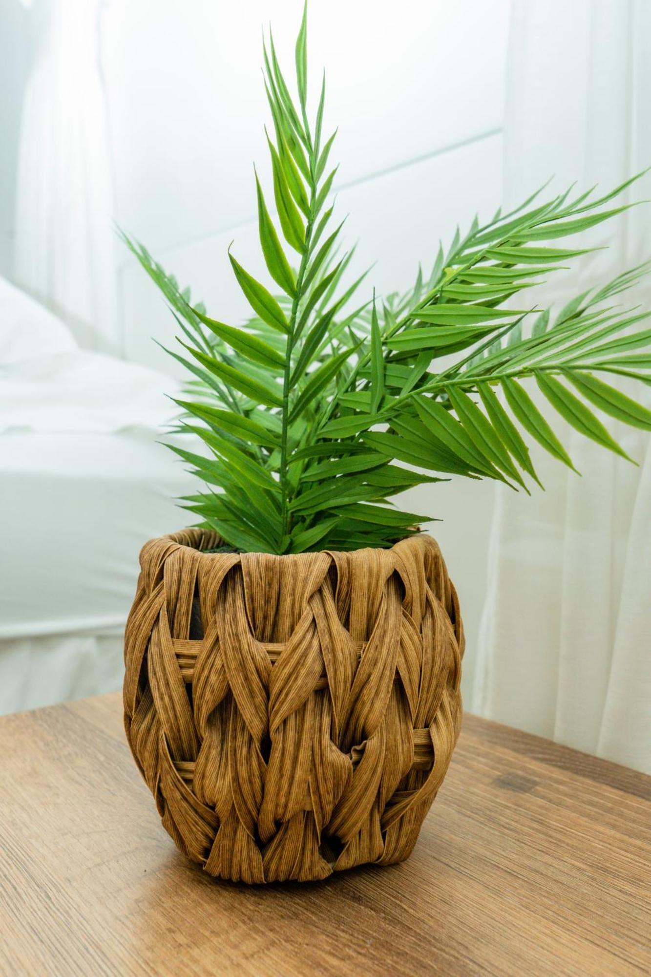 Puesta Del Sol Guest House ซานอันเดรส ภายนอก รูปภาพ