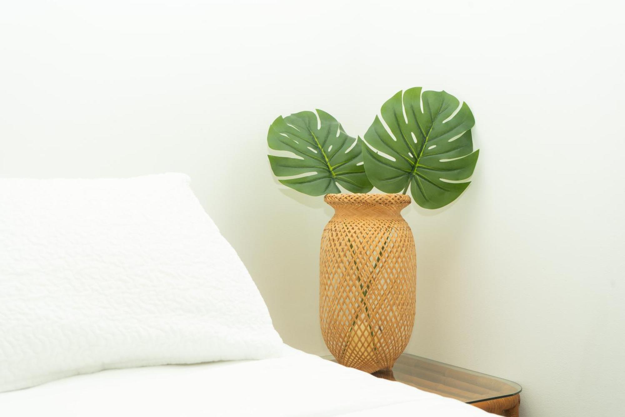 Puesta Del Sol Guest House ซานอันเดรส ภายนอก รูปภาพ
